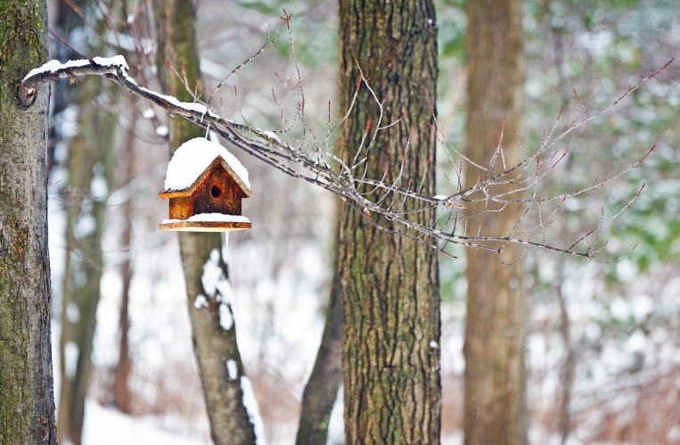 VUGGESTUEN ER ÅBNET